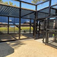 New lion enclosure construction moorpark ca (8)